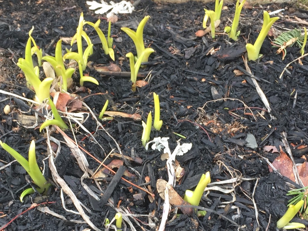 take time to share your&nbsp;heart