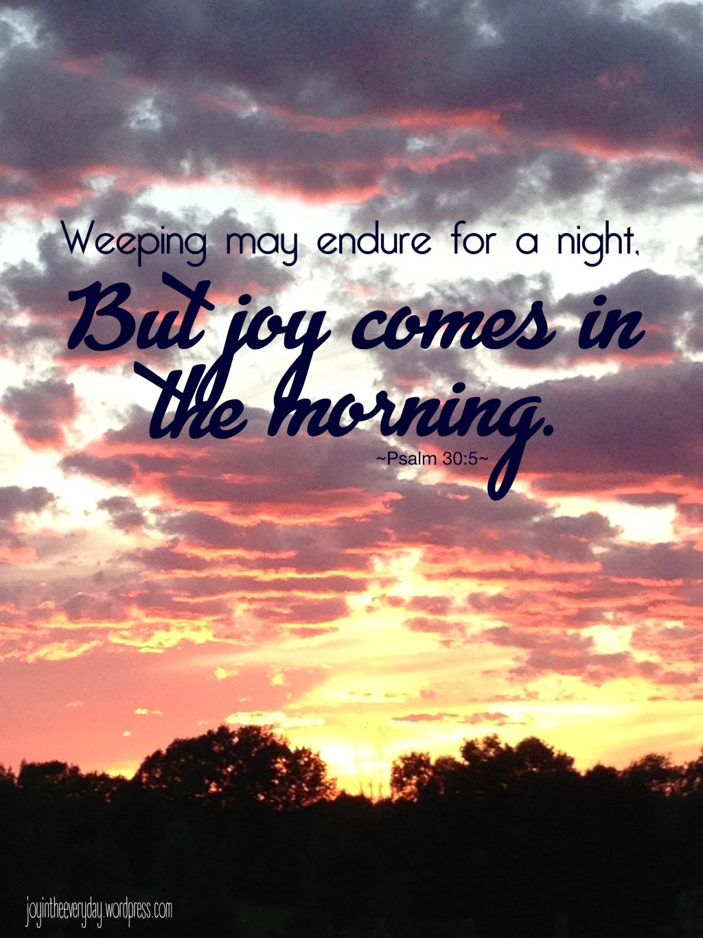 joy in the everyday ~ psalm&nbsp;30:5