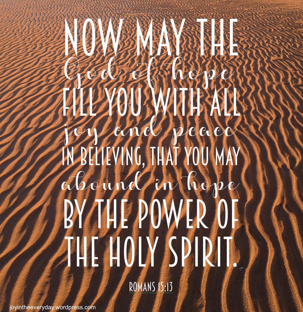 joy in the everyday ~ romans&nbsp;15:30