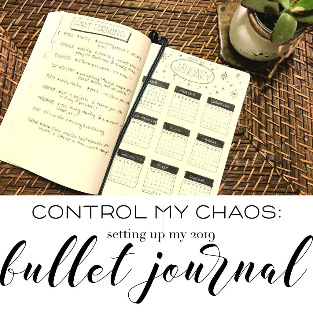 chaos control:  setting up my bullet journal for&nbsp;2019