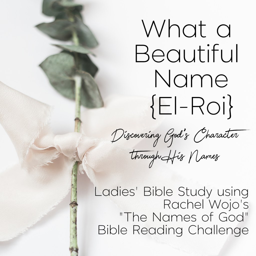 what a beautiful name&nbsp;{El-Roi}